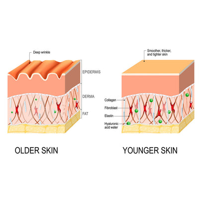 Anti-wrinkle  Fine Line Skin Care